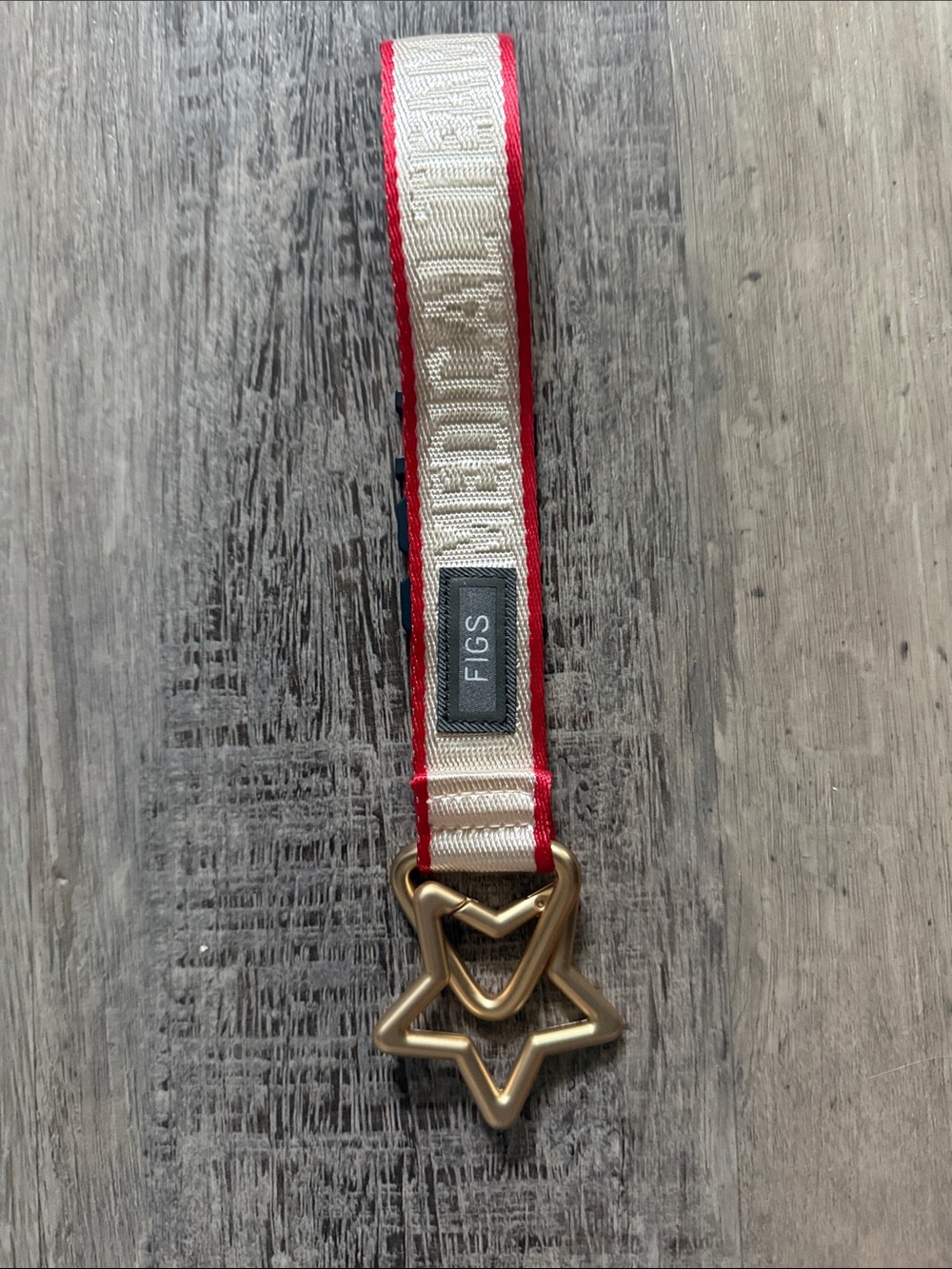 Figs keychain nwot